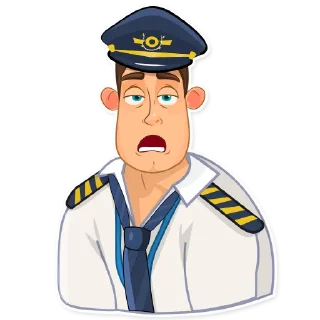 Sticker FLYING UPSIDE DOWN - 0