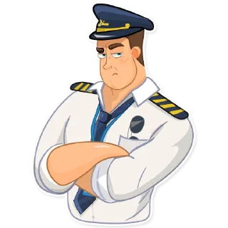 Sticker FLYING UPSIDE DOWN - 1