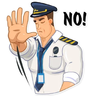 Sticker FLYING UPSIDE DOWN - 7