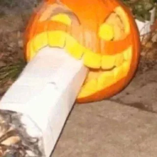 Sticker Капибара в какашках - 1