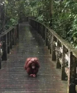 Sticker Больше стиков тут: @stikery4 - 7