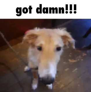 Sticker Больше стиков тут: @stikery4 - 6