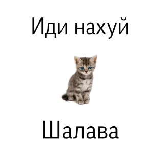 Стикер Больше стикеров: @sticerru - 8