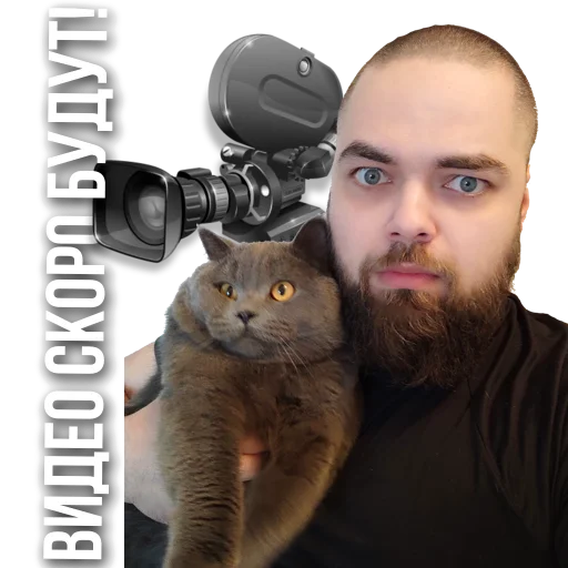 person small to medium-sized cats man