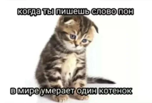 Sticker PLBskybVaSMlkwdl_by_stickers_stealer_bot - 1