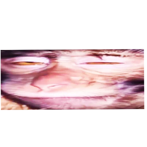 Sticker PLSKINAKEDBENTYAGA - 1