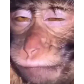 Стикер PLSKI NAKED BENTYAGA - 4