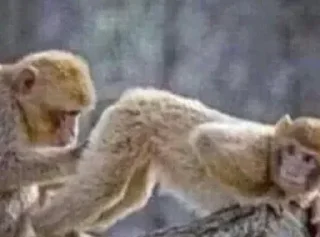 Sticker Больше стиков тут: @stikery4 - 1