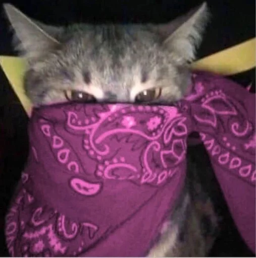 Sticker PMFBDKJFJA_by_moyi_stikery_bot - 1