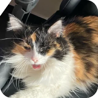 Sticker ПОДВАЛ Stream•Boss’a - 10