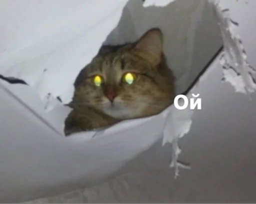 Стикер кык - 5