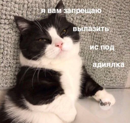 Стикер кык - 4