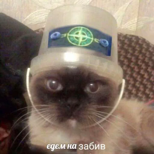 Стикер кык - 3