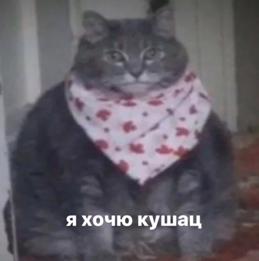 Стикер кык - 2