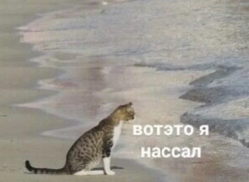 Стикер кык - 0