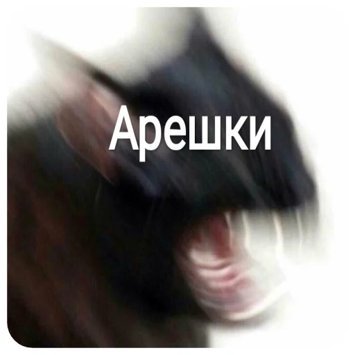 скриншот СМС графический дизайн