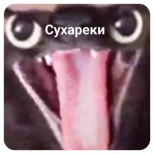 text x-ray film screenshot