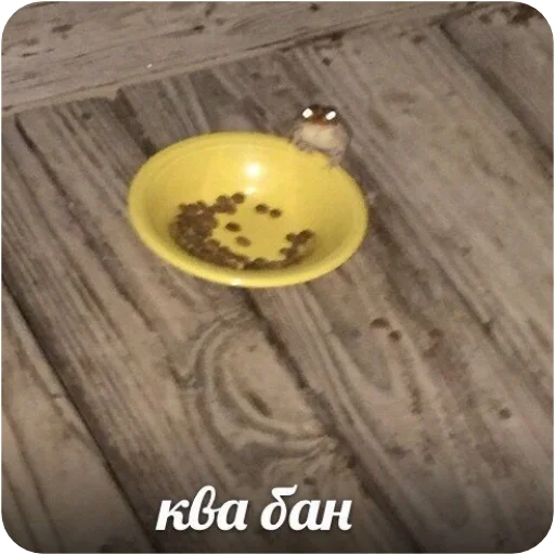 yellow indoor wooden