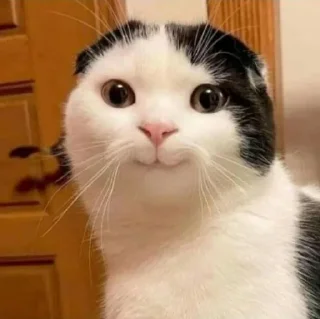 Sticker Больше стиков тут: @stikery4 - 11