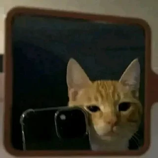 Sticker Больше стиков тут: @stikery4 - 4