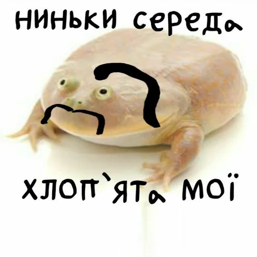 text cartoon animal figure