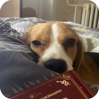 Sticker ПРОсто прекрасно - 9