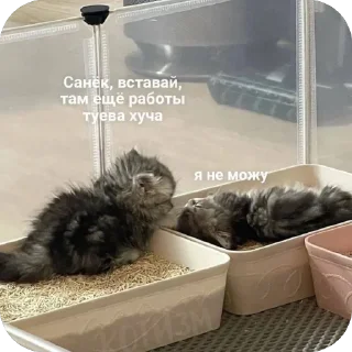 Sticker ПРОсто прекрасно - 10