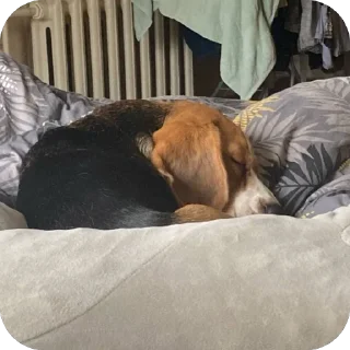 Sticker ПРОсто прекрасно - 8