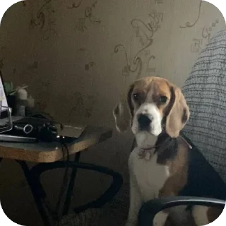 Sticker ПРОсто прекрасно - 0