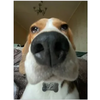 Sticker ПРОсто прекрасно - 3