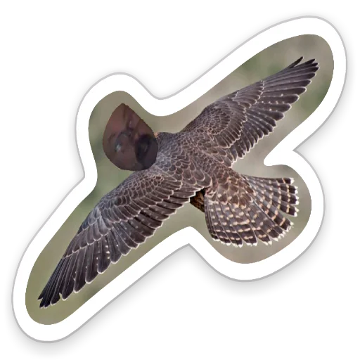 Стикер PRRREPODS - 1