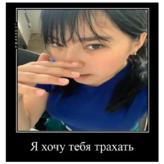 Sticker ПШИВЫЕ ЕПРСТ - 6