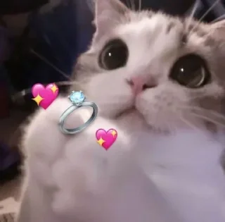 Sticker @sticksbb 🩷 <- канал со стиками - 10