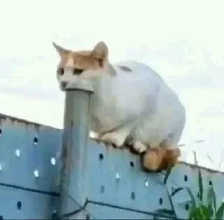 Sticker @sticksbb 🩷 <- канал со стиками - 2