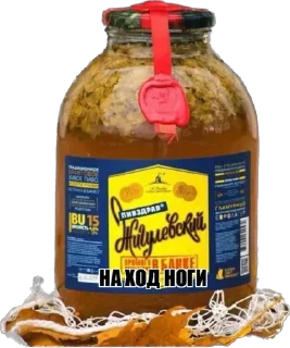 Sticker TECHNO-DNB FLEX - 8