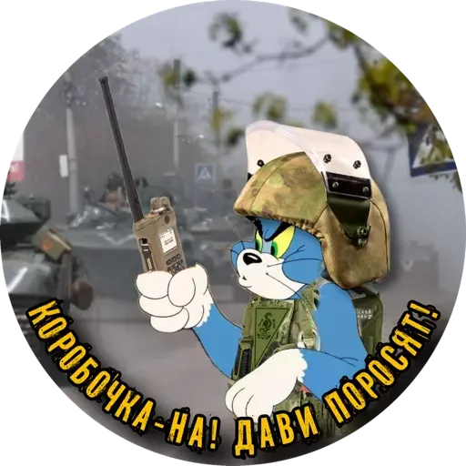 Sticker PTSRtomcat - 1