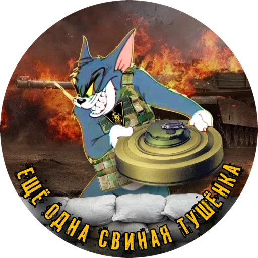 Стикер PTSRtomcat - 1