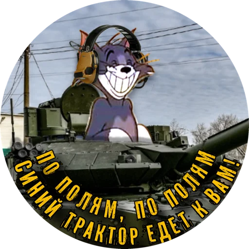 Sticker PTSRtomcat - 1