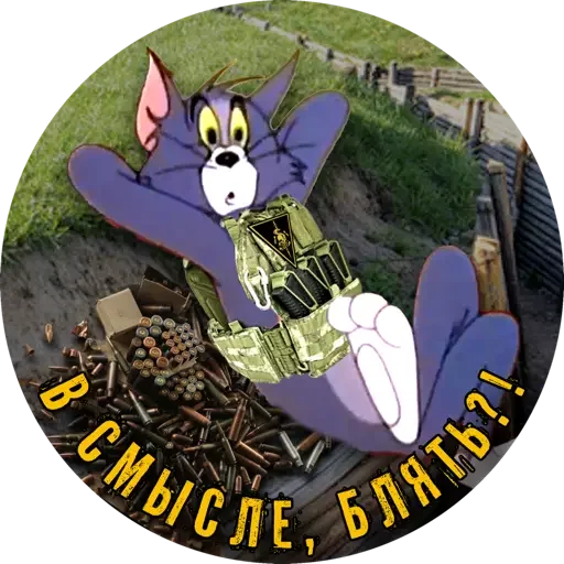 Sticker PTSRtomcat - 1