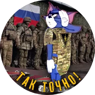 Стикер PTSR_TOMCAT - 10