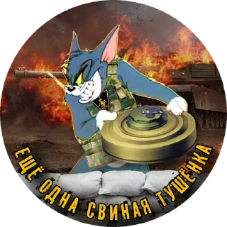 Стикер PTSR_TOMCAT - 6