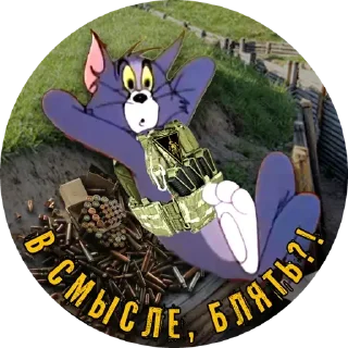 Стикер PTSR_TOMCAT - 1