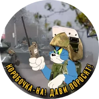 Стикер PTSR_TOMCAT - 8