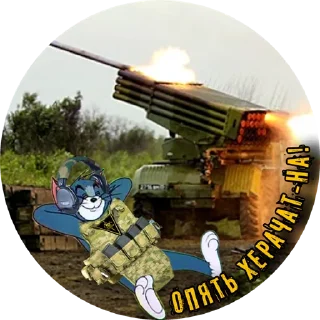 Стикер PTSR_TOMCAT - 4