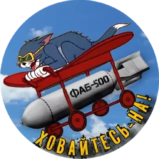 Стикер PTSR_TOMCAT - 5