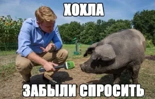 Стикер @PTYZY - 6