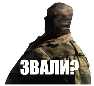 Стикер Пудж-могилизатор - 0