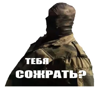 Стикер Пудж-могилизатор - 2