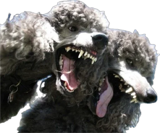 Sticker PUNKSTARRR - 1