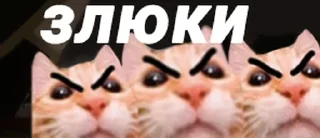 Стикер test PUP - 2